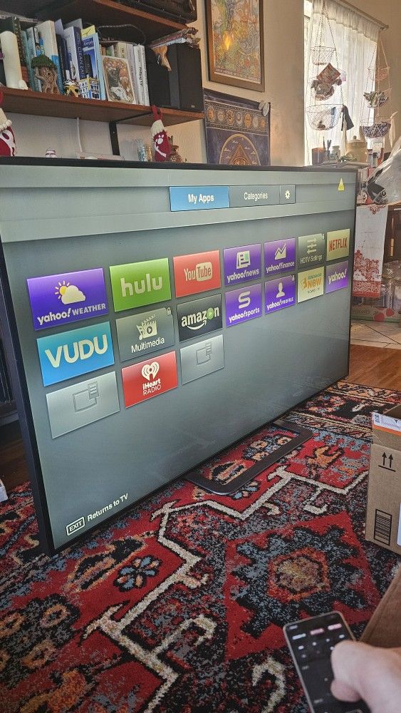 65" Vizio TV