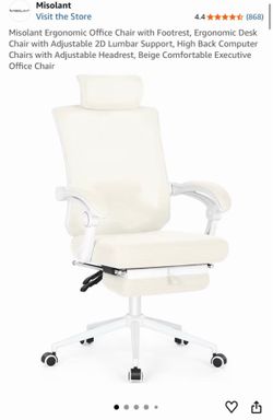 Ergonomic Desk Chair