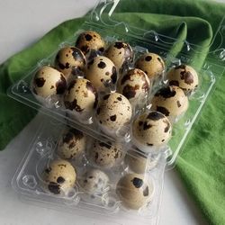 Fresh Quail Eggs 🥚 