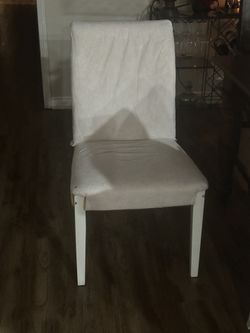 Dining Chairs 