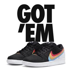 Nike dunks polaroid 