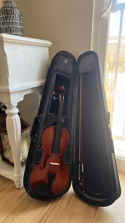Viola