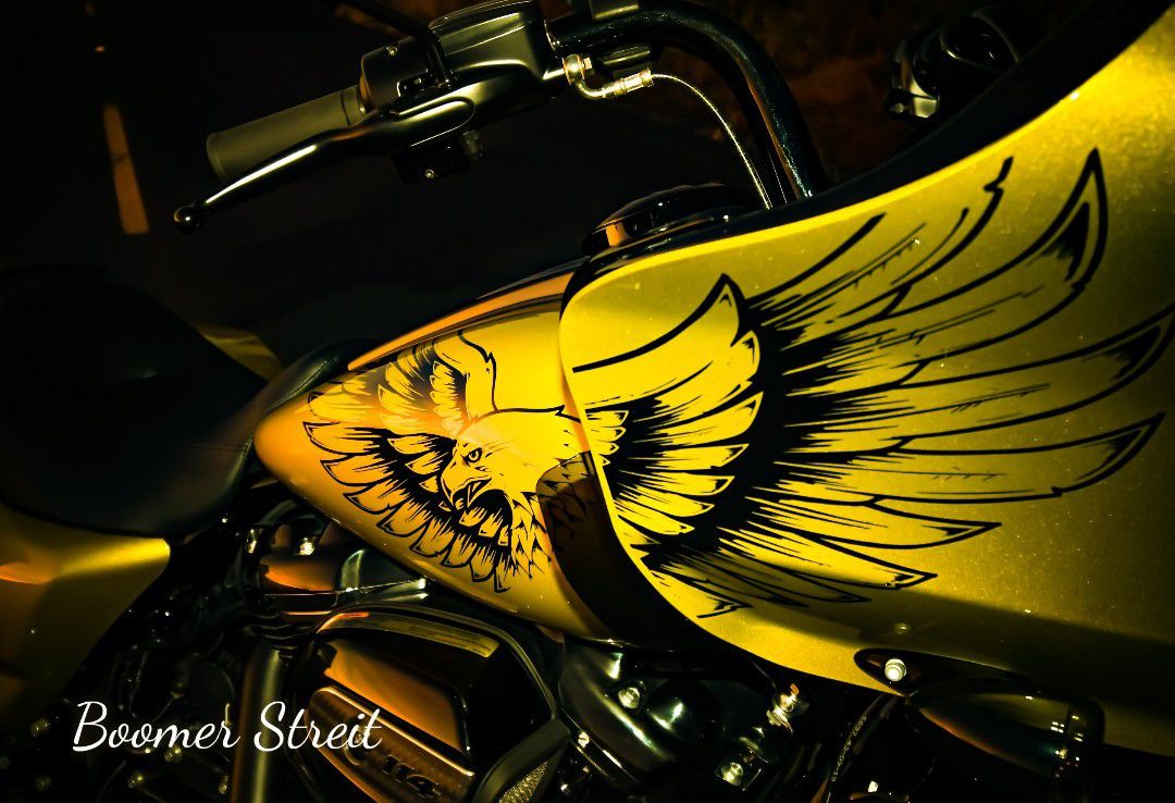 2020 Harley Davidson Eagle Eye