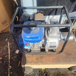 Portable Water Pump 