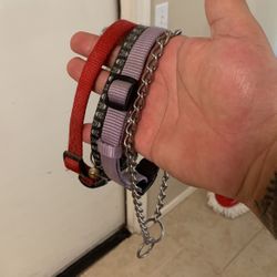 4 Small Collars Free For Dog