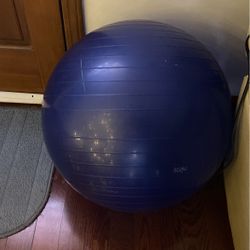 Everlast FIT Stability Ball