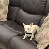 OpenforOffers