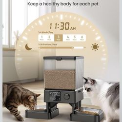 Automatic Cat Feeder 