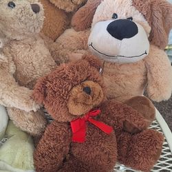 Plush Teddy Bears