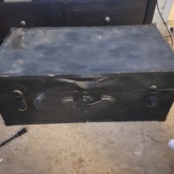 Trunk/chest