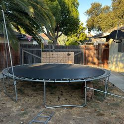 Trampoline 