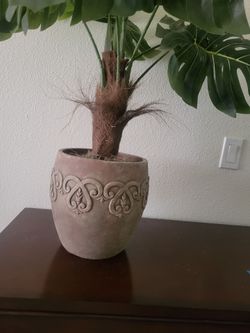 Artificial Plants