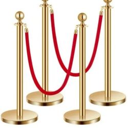 Crowd Control Stanchion