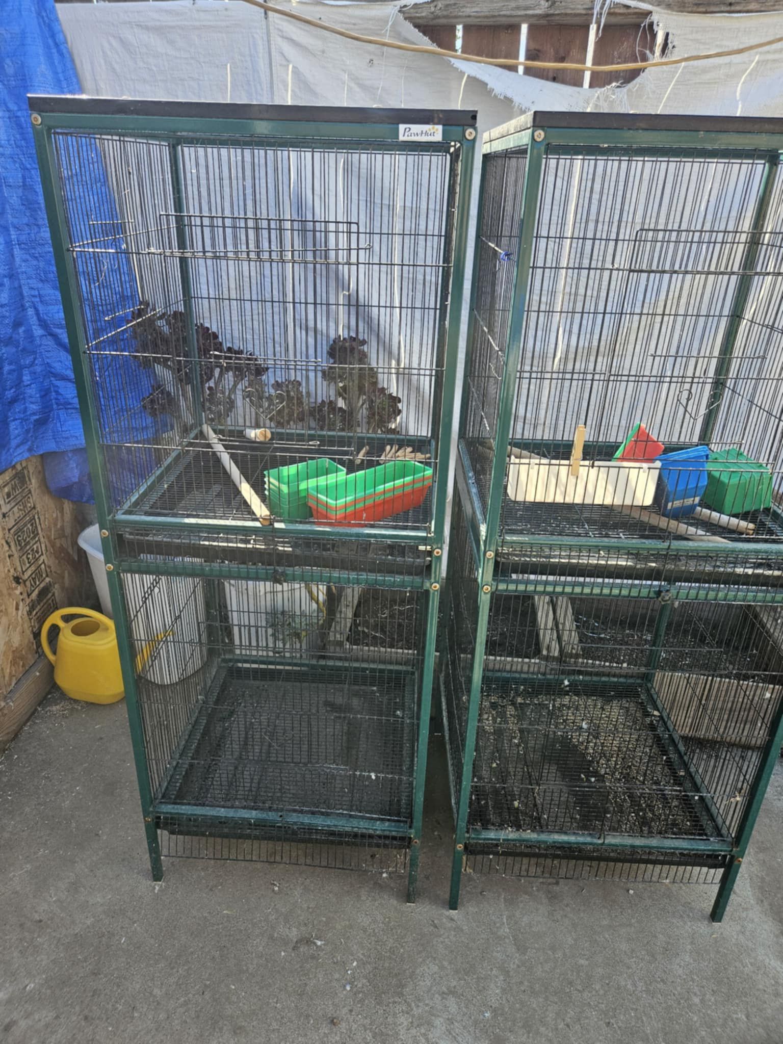 Bird Cages