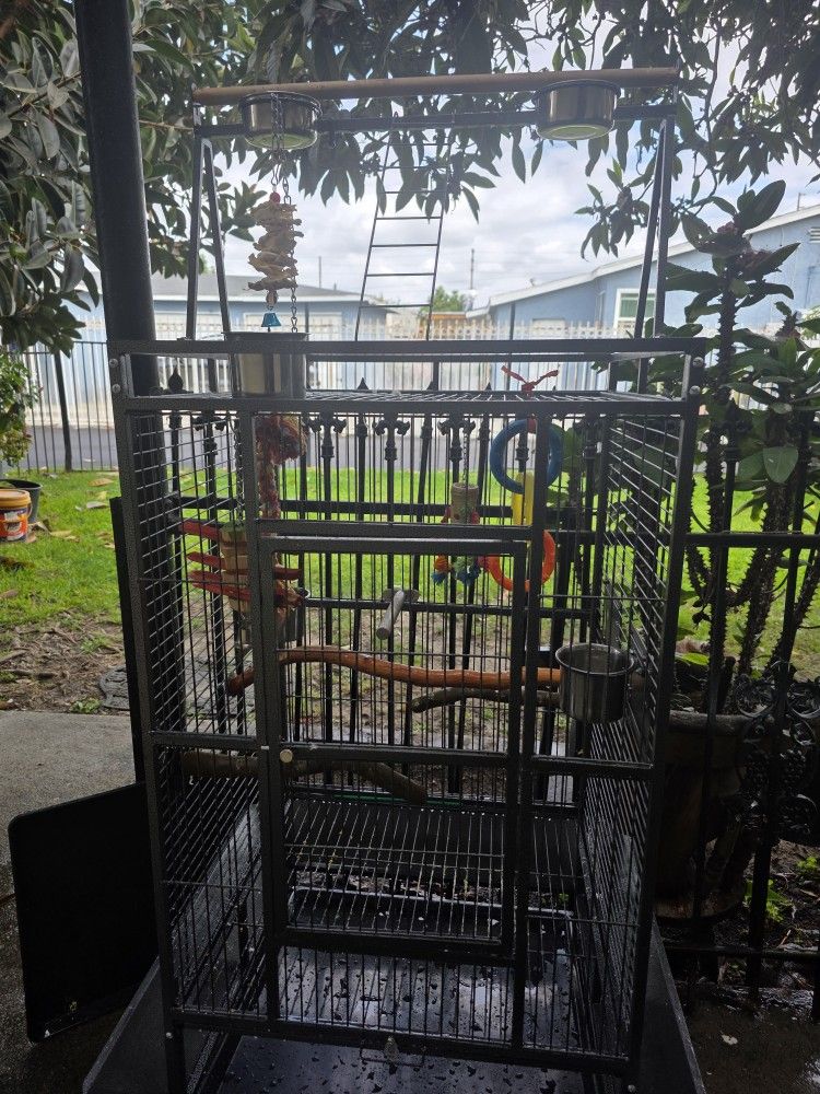 BIRD CAGE