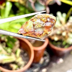 M🔥 Rare Mexican Fire Opal Specimen – Play-of-Color – Large Rough Collector Piece