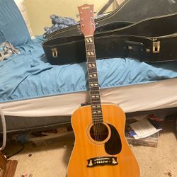 Guitar and case