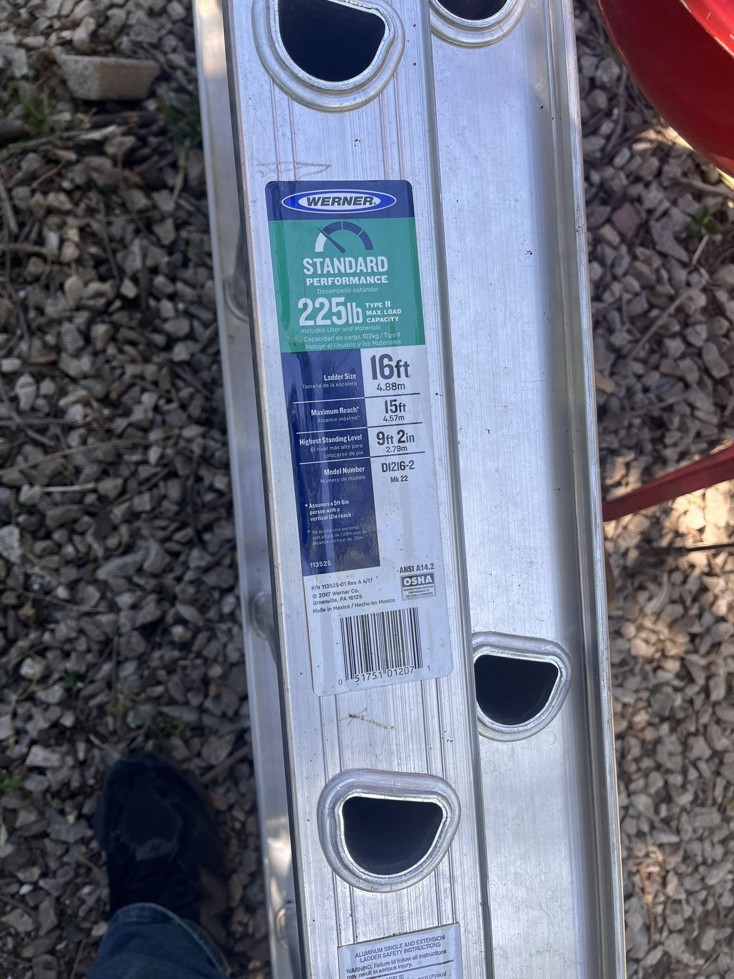 ShedClean Out 