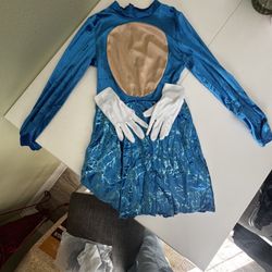 Sonic Costume