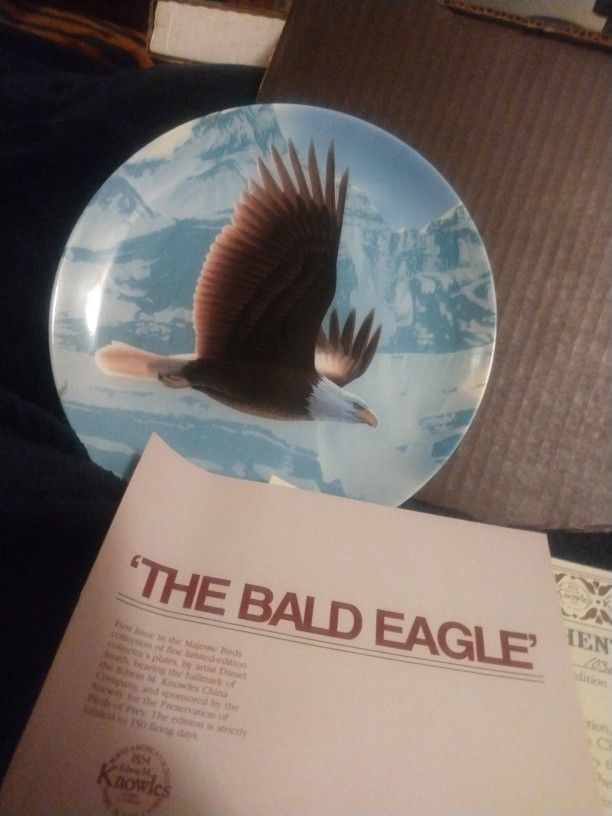 The Bald Eagle 🦅 Collectors Plate