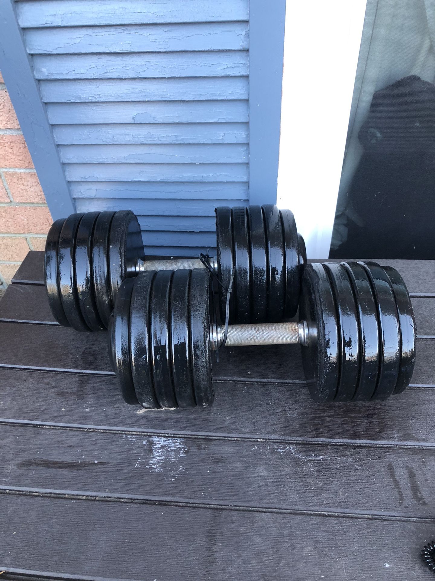 100 Lb Pair of Dumbbells (Total 200 Lbs)