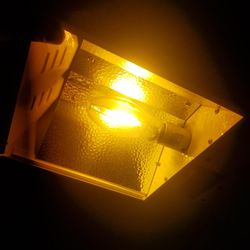 Mini Floralux Grow Light 