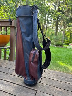 Golf cart bag