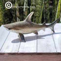 Brand New! 8" Shark Sculpture Figurine Coastal Nautical | SHIPPING IS AVAILABLE