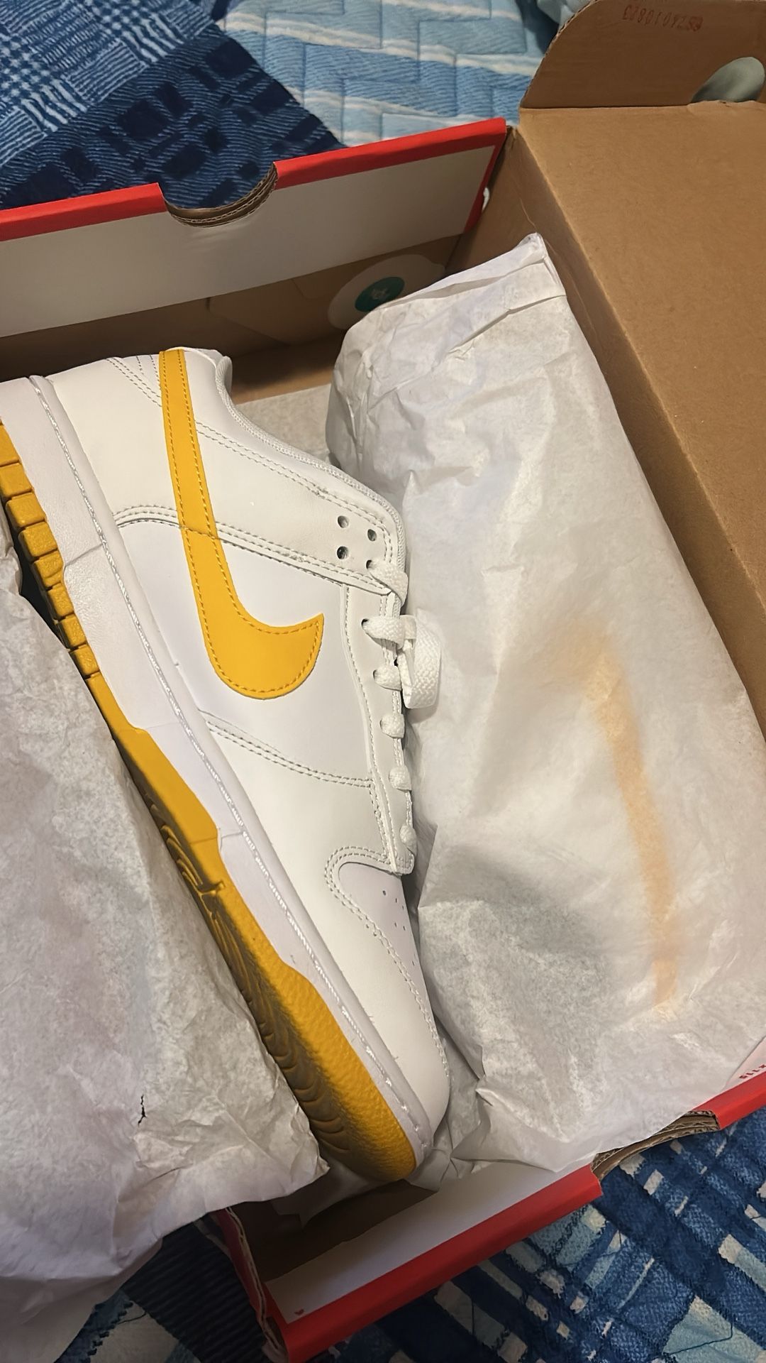 Nike Dunks Size 10.5