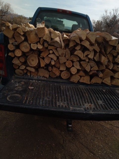 Pine Firewood