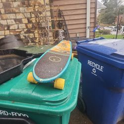 Kryptonics Skates board  California 