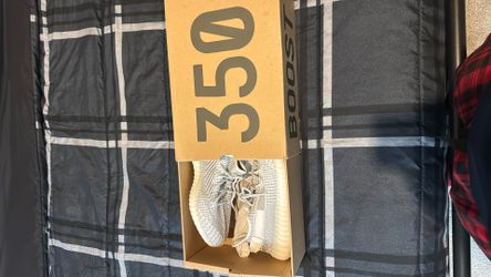 Yeezy 350 White Static