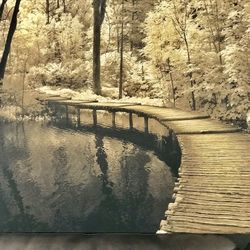 Painting Beautiful Big Size Wall Painting