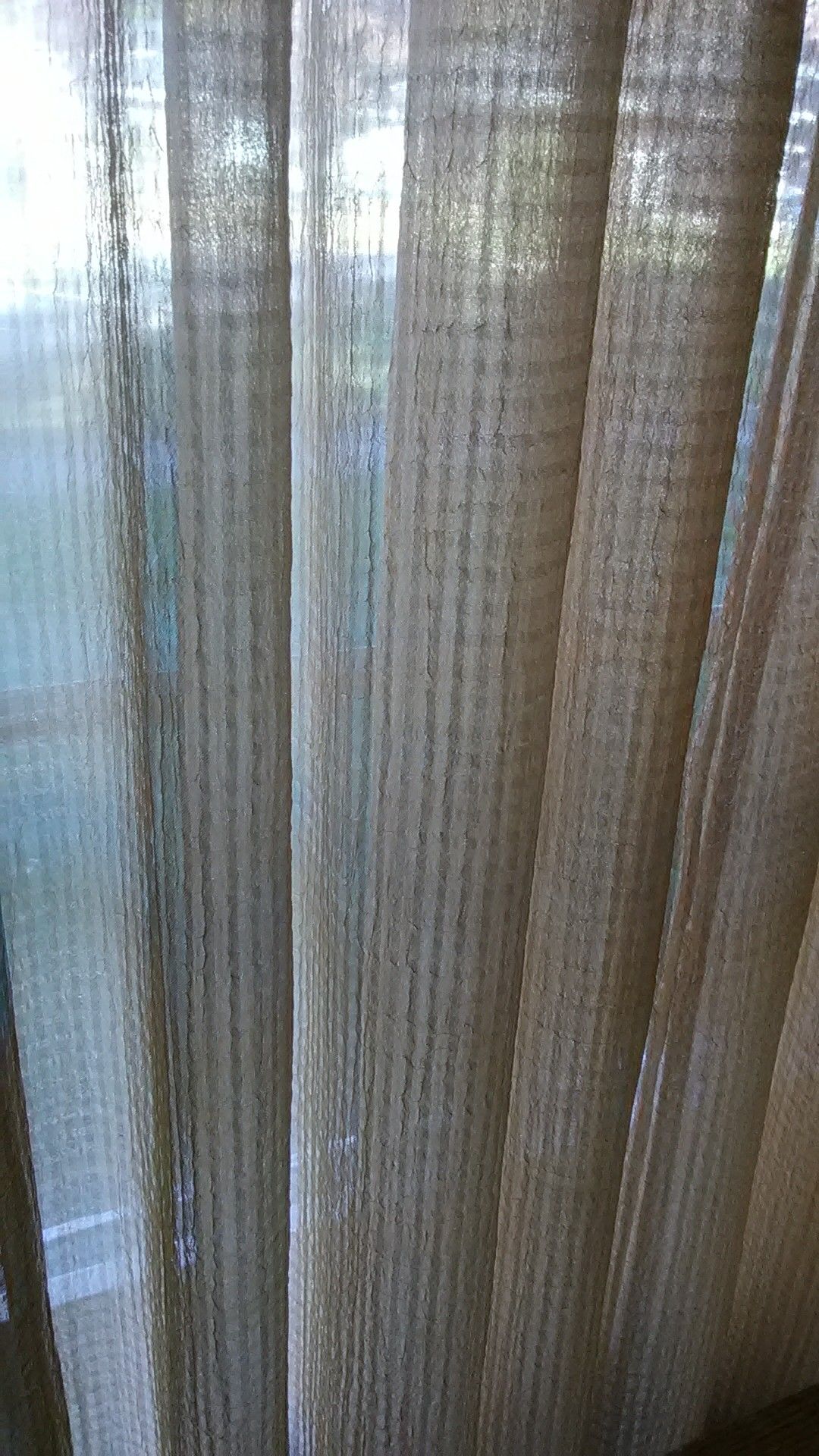 Pumpkin tannish colored curtains 8 panels perfect condition nice sheer tannish pumpkin ish colored