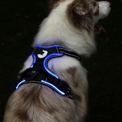 New Light up Dog  Harness. Black With Blue Light Medium 