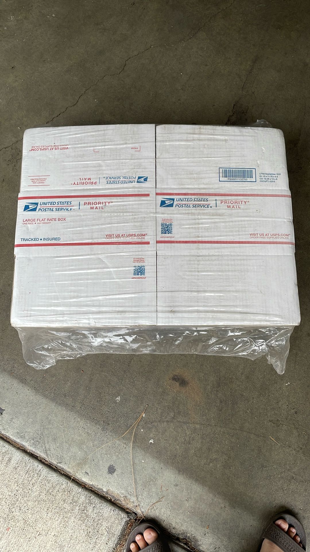 Unused USPS Large Flat Rate Box (25 Pack)