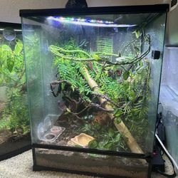 Reptile Terrarium