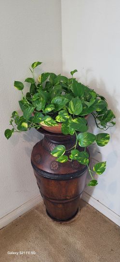Boho Floor Vase Planter Set with Live Golden Pothos | 28" Bronze Metallic Decor
