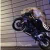 Motor Geckin 