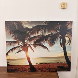 Sunset Picture 