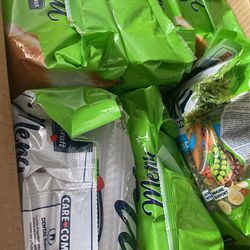 Food For Guinea Pigs