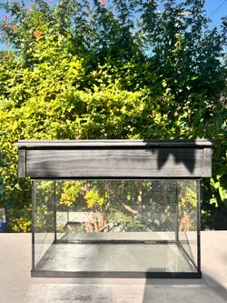 10 gallon fish tank/ fish tank