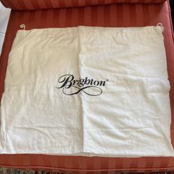 Brighton purse Proctor/Duster Bags