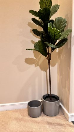 Gainey Pots / Planter