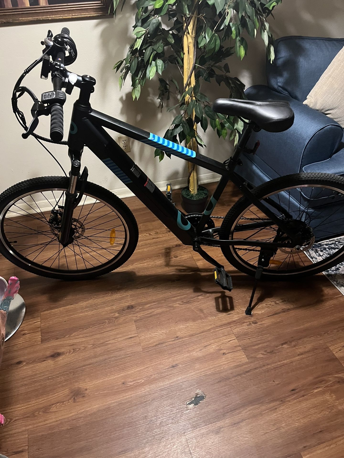 Electric Bike