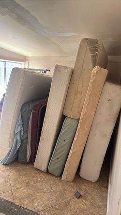 Full , Twain bed $20/ each