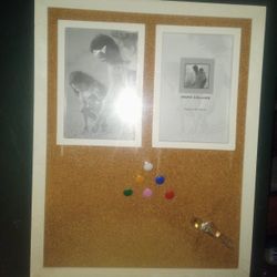 New Corkboard/ Photo w Thumb Tacks
