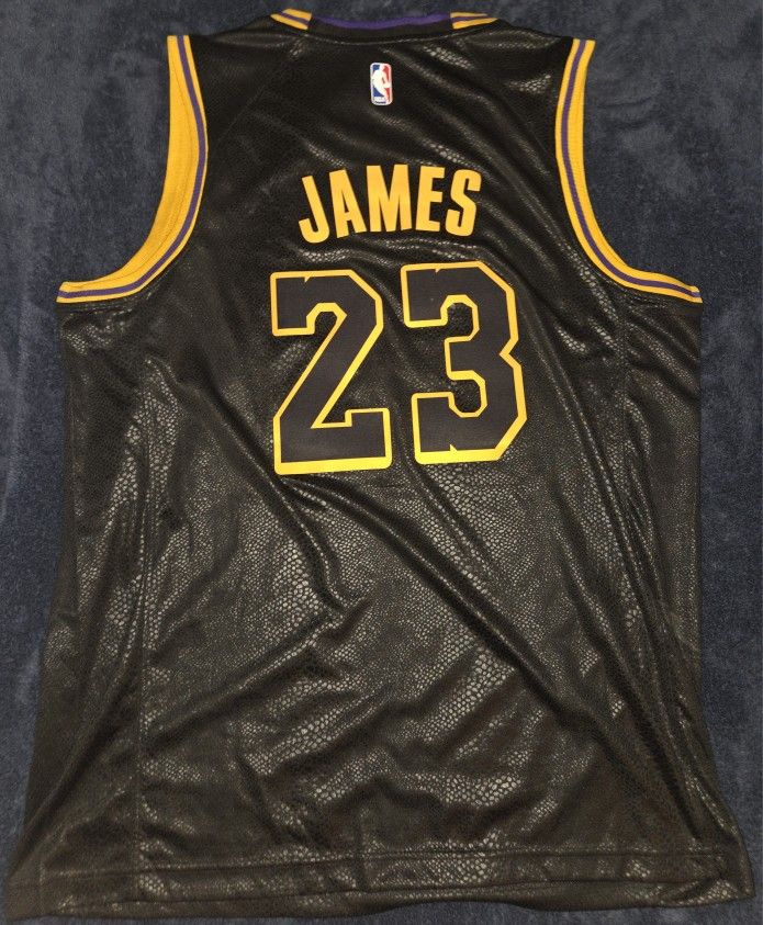 LeBron James Jersey