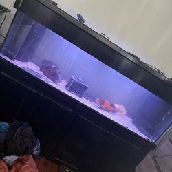 150 Gal Aquarium 