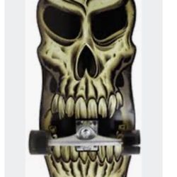 Special Addition, Santa Cruz Complete Skateboard. “Philip Skull Cruzer” This is the last one available.